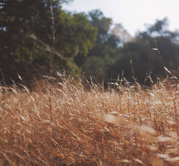 球员技术精湛，成为比赛MVP